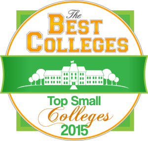 best small engineering schools