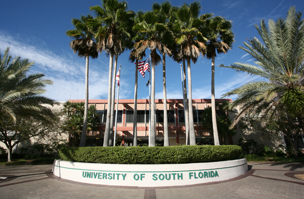 university-of-south-florida-online-graduation-rates