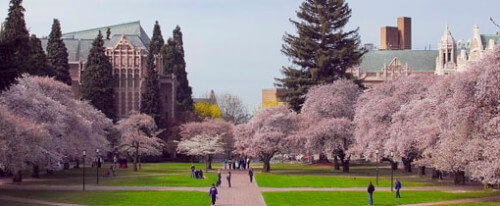 university-of-washington-online-graduation-rates