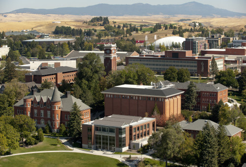 washington-state-university-online-graduation-rates