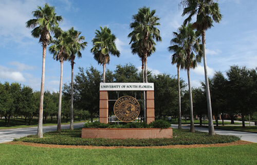  University  of South Florida  Best Colleges Online