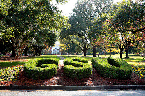 Georgia Southern University – Online MBA Degree Programs