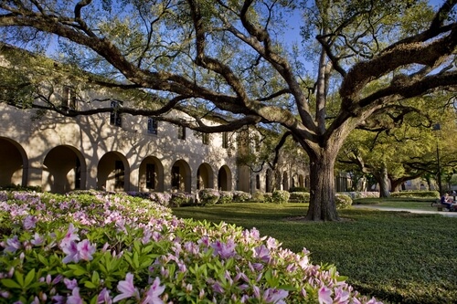 Louisiana State University – Online MBA Degree Programs