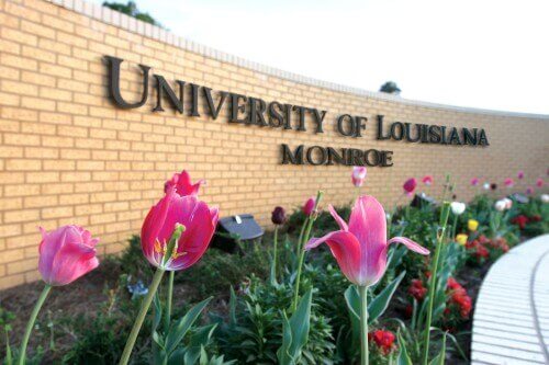 University of Louisiana – Online MBA Degree Programs