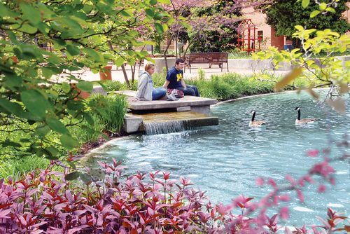 University of Michigan - Online MBA Degree Programs