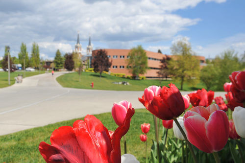 Gonzaga University - 30 Most Affordable Online Graduate Sports Administration Degree