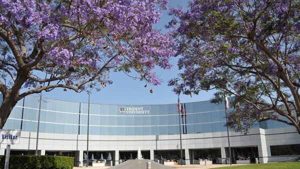 Trident University – Top 50 Most Affordable Online Master’s in Healthcare Administration