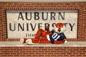 Auburn - Top 50 Most Affordable Online Master’s in Accounting Programs