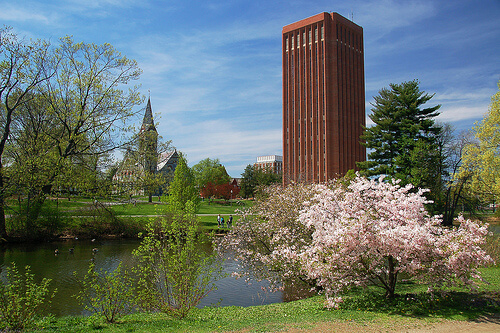 UMASS – Top 50 Most Affordable Online Master’s in Accounting Programs