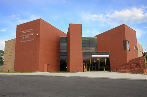 East Tennessee State University – Online Master’s in Elementary Education