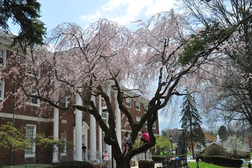 Slippery Rock University – Online Master’s in Elementary Education