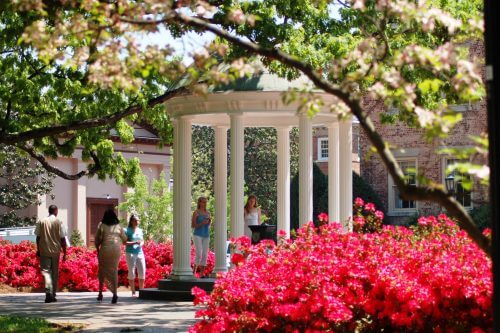 University of North Carolina – Online Master’s in Elementary Education