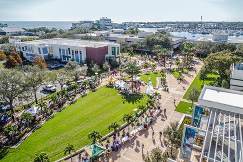 University of South Florida – Online Master’s in Information Technology