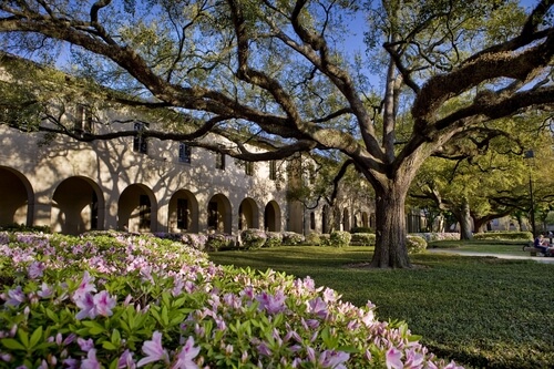 Louisiana State University – 30 Most Affordable Online Master’s in Curriculum and Instruction