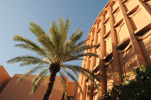 Arizona State University – Affordable Master’s in Public Administration Online