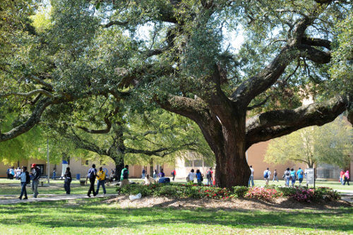 Southern University A&M - Online Master’s in Public Administration