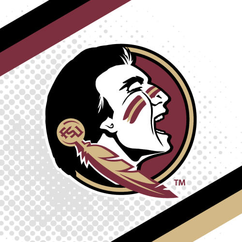 Florida State University – Top 30 Most Affordable Master’s in Criminal Justice Online Programs 2018
