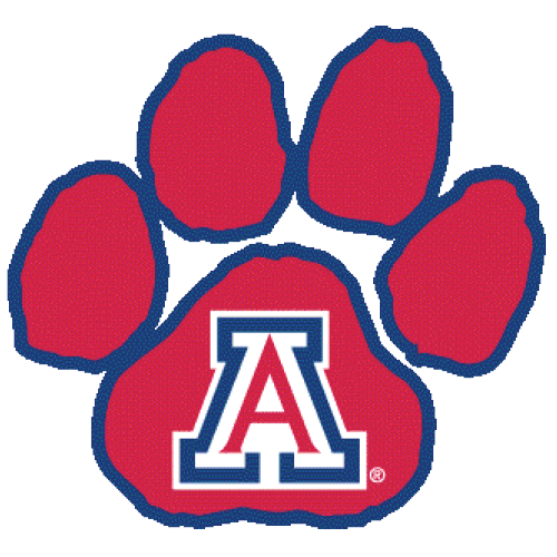 University of Arizona – Top 30 Most Affordable Online Master’s in Information Technology Programs 2018