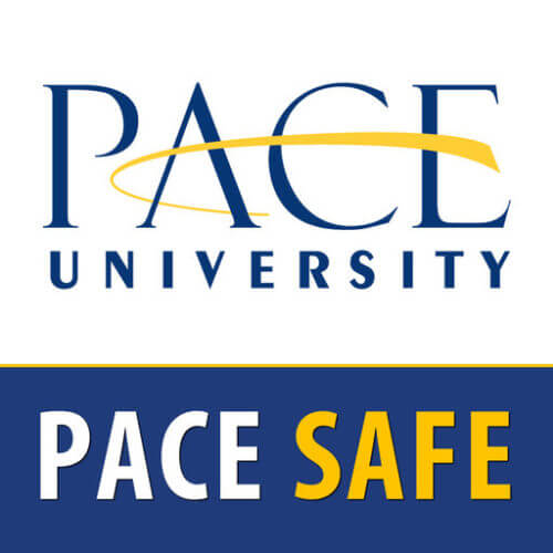 Pace University - Top 30 Most Affordable Master’s in Homeland Security Online Programs + FAQ