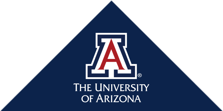 University of Arizona – 50 Most Affordable Part-Time MBA Programs 2019