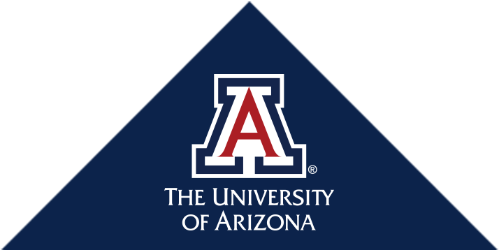 University of Arizona – 50 Most Affordable Part-Time MBA Programs 2019