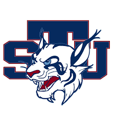 St. Thomas University – Top 30 Most Affordable MBA in Internet Marketing Online Programs 2019