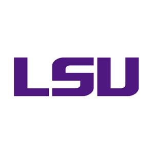 louisiana state university online degrees