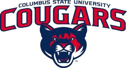 Columbus State University - Top 30 Most Affordable MSN in Nursing Informatics Online Programs 2019