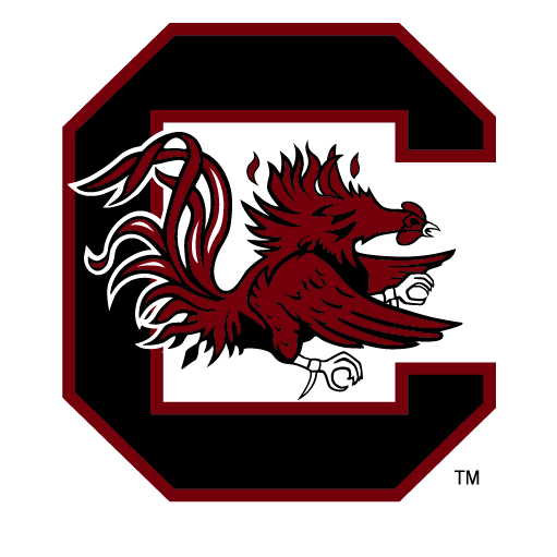 University of South Carolina – Top 50 Most Affordable Master’s in Public Health Online (MPH) Programs 2019