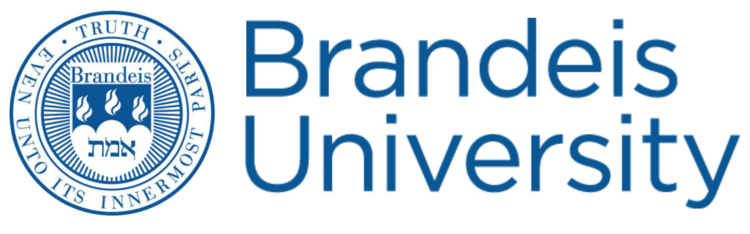 Brandeis University – Top 20 Online Master’s in Digital Marketing Programs 2020