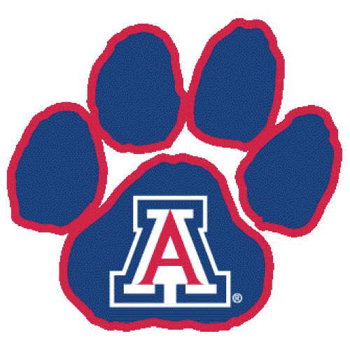 University of Arizona - Top 50 Accelerated MSN Online Programs