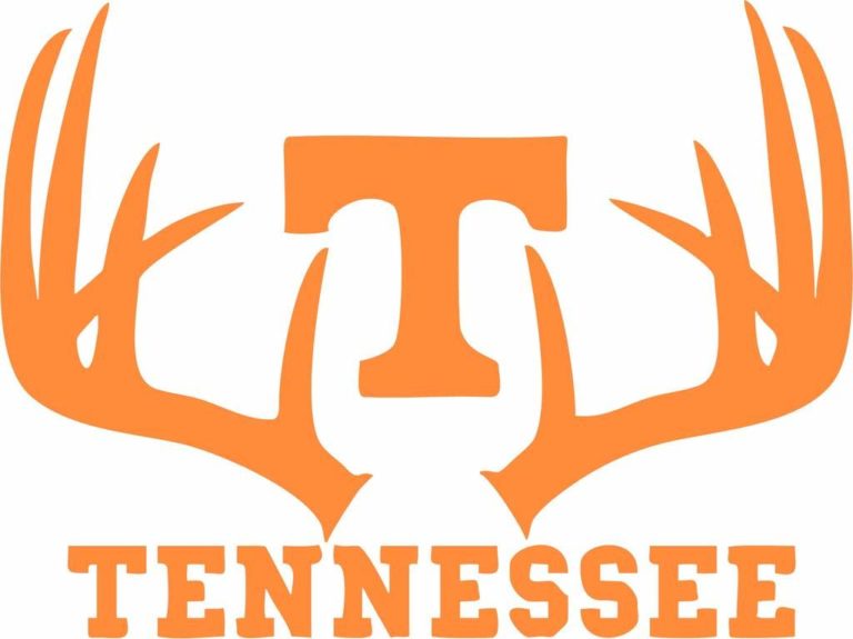 tn university red