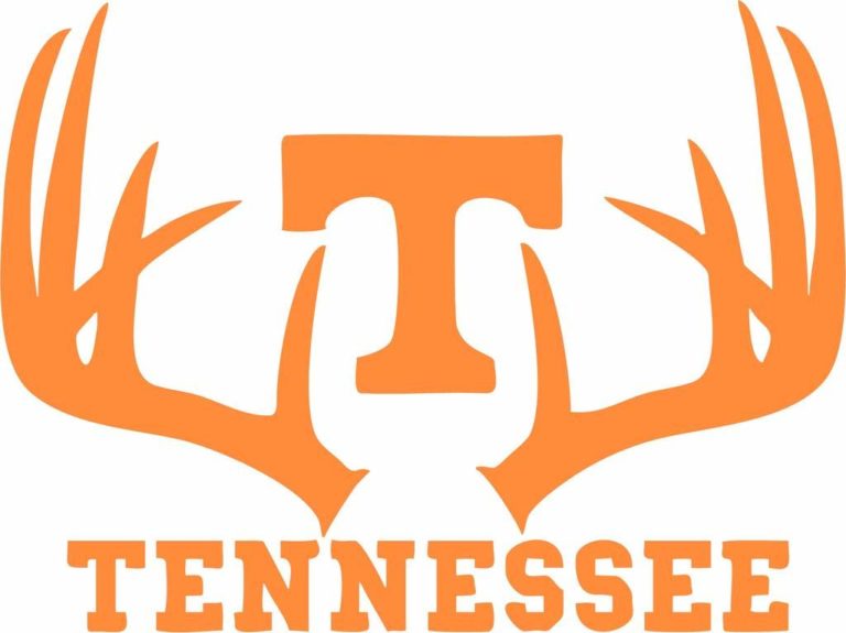 university-of-tennessee-degree-programs-accreditation-applying-tuition-financial-aid