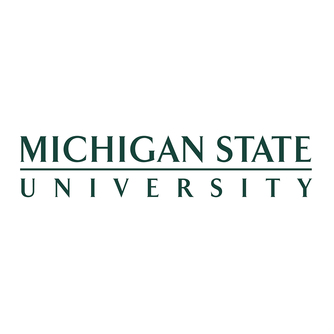 Michigan State University – Top 50 Most Affordable Master’s in Communications Online Programs 2020