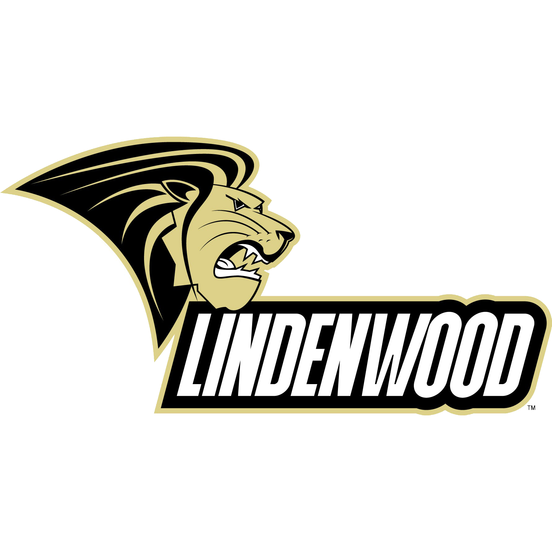 Lindenwood University – 50 Accelerated Online MPA Programs 2021