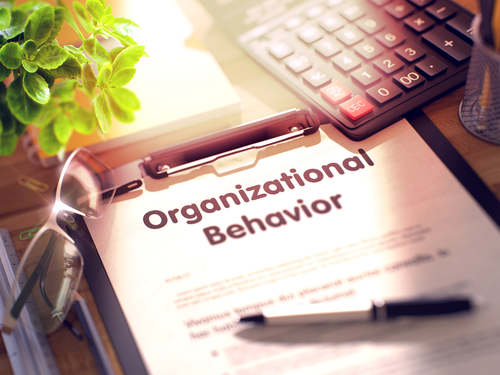 What is Organizational Development Theory?