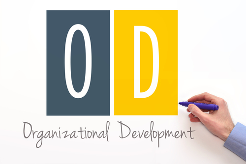 organizational development theories